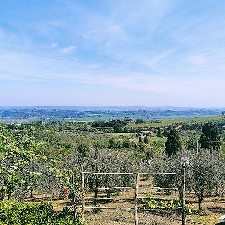 La Casina Di Colle - Appartamento Rustico Sulle Colline Di Pisa Casciana Terme Buitenkant foto